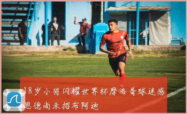 18岁小将闪耀世界杯摩洛哥球迷感恩德尚未招布阿迪