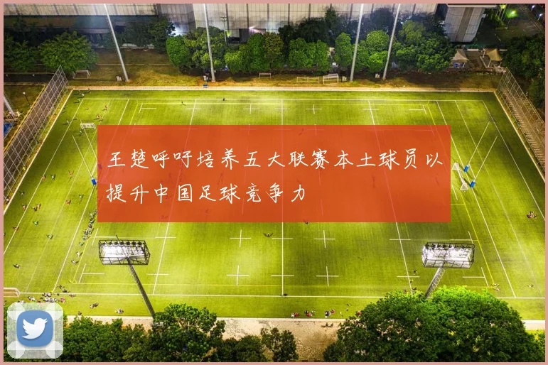 王楚呼吁培养五大联赛本土球员以提升中国足球竞争力